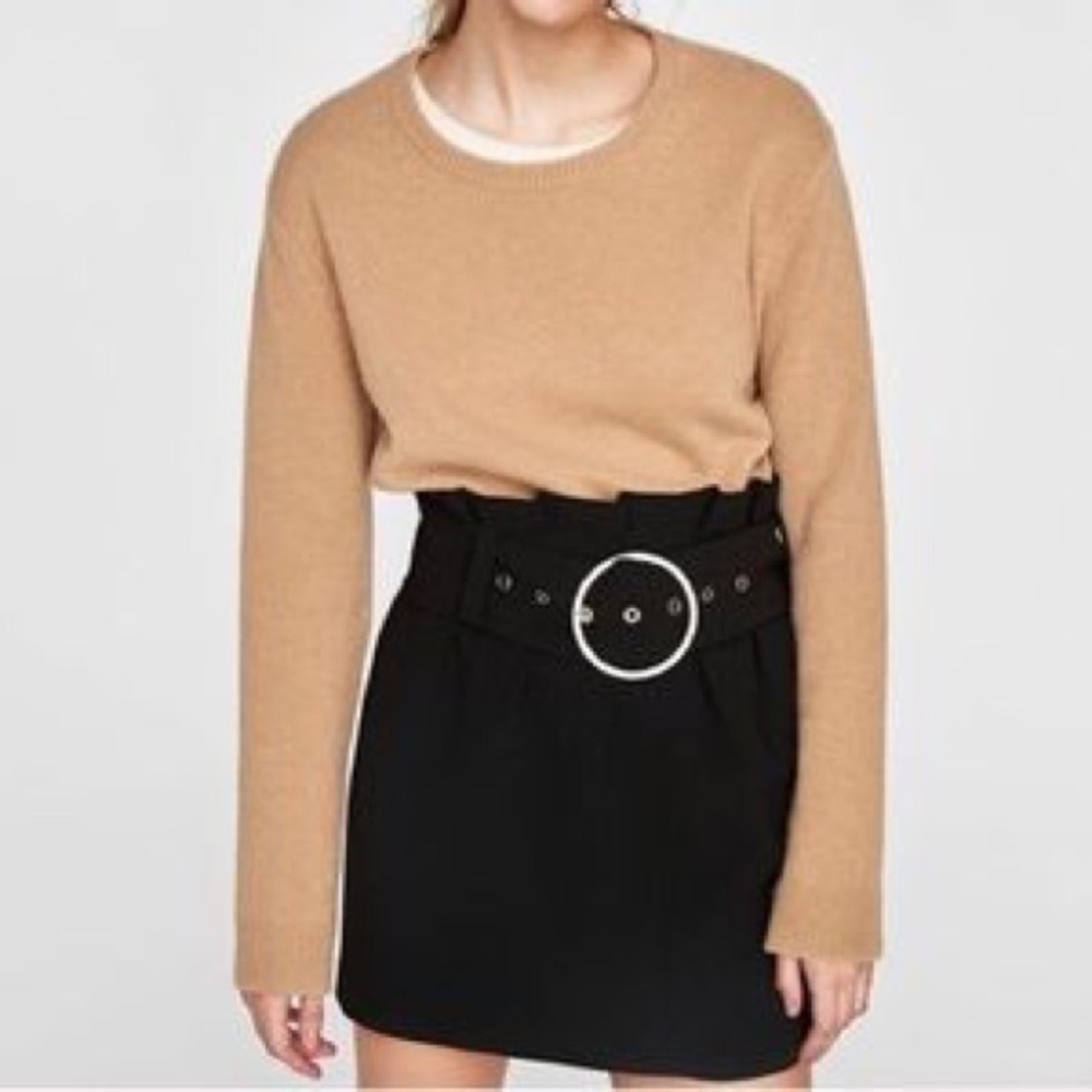 ZARA WOMAN STUDIO | skirt | Lg